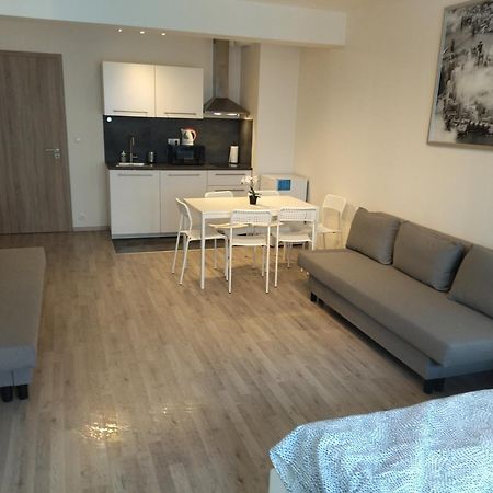 Brand New Studio Apartment #24 In Elite Residence With Free Secure Parking In The Center Prag Exterior foto